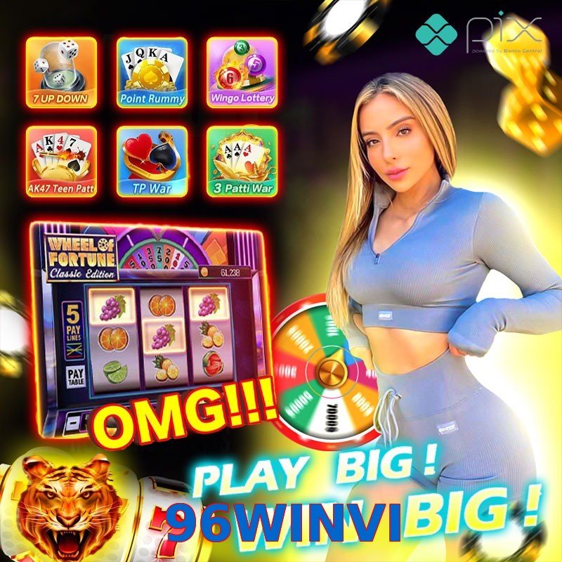 96WINVI