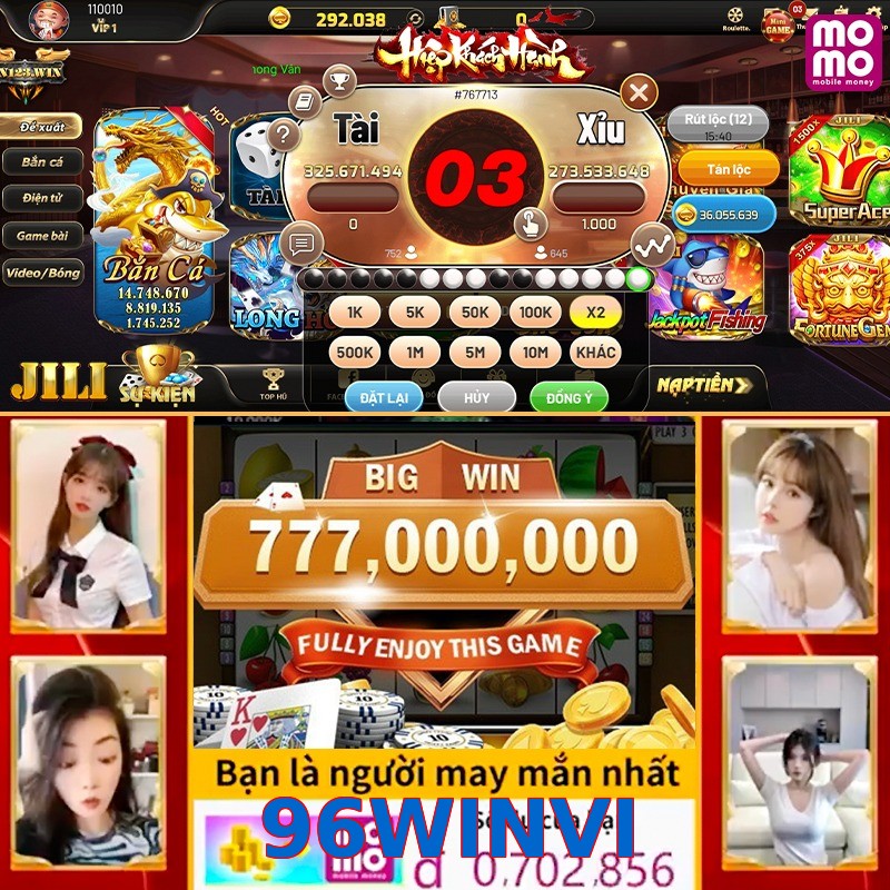 96WINVI