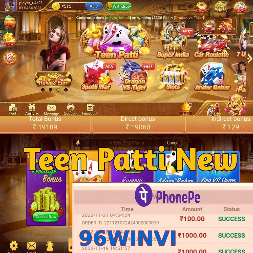 96WINVI