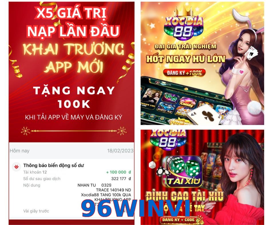 96WINVI