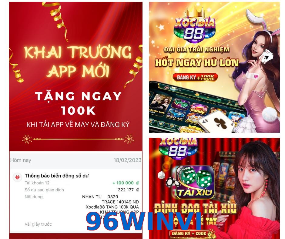 96WINVI